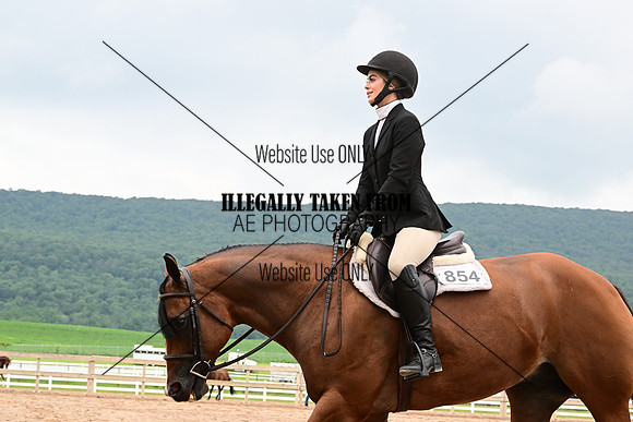 AJB_7017