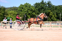 AJB_4775