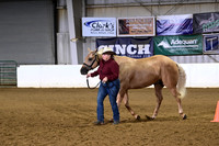 46 Amateur Aged Geldings