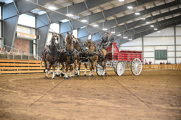 AJB_7653