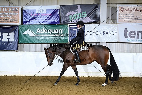 ASH_9940