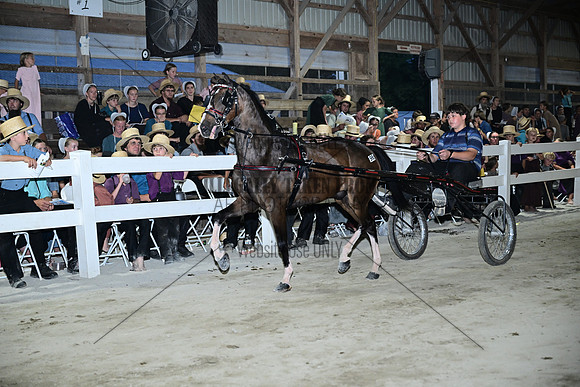 AJB_0981