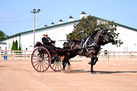 AJB_4393