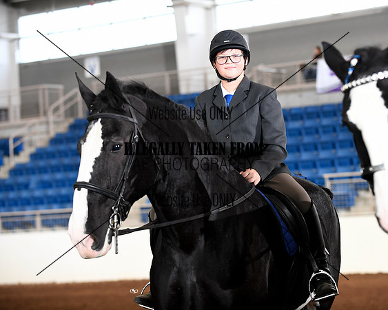 shires_6359