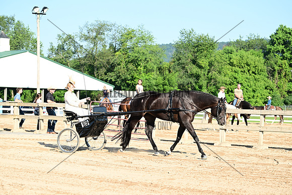 AJB_6345
