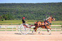AJB_4618