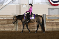 91 ABRA Western Pleasure Junior Horse