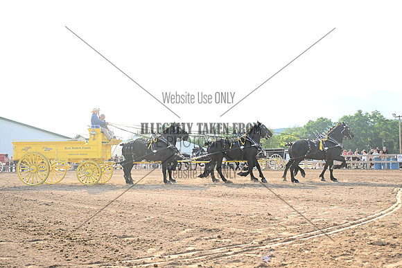 AJB_0486