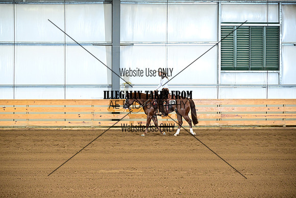 AJB_9210