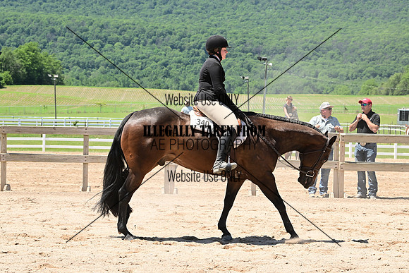 ASH_5387