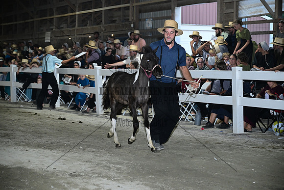 AJB_0901