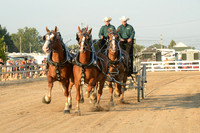 Four Horse Hitch_Amateur_youth-16