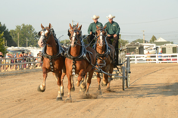 Four Horse Hitch_Amateur_youth-16
