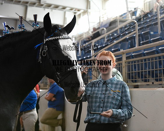 shires_5685