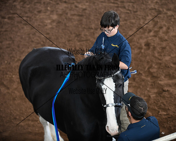 shire_5405