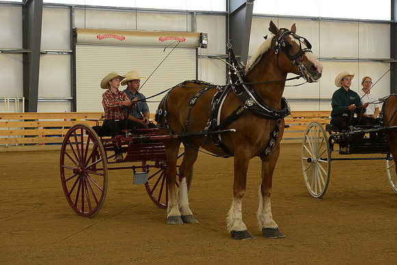 Sr. Youth Cart-21