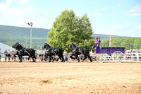 AJB_0436