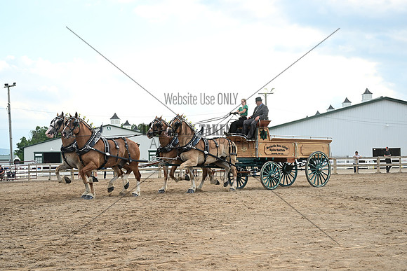 AJB_0704