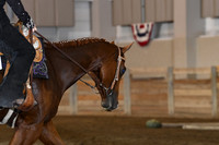 17. All Breed Youth Walk Trot Trail 11-18