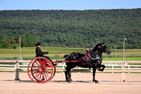 AJB_4471