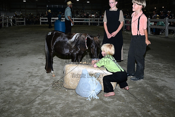 AJB_0976