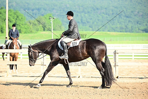 AJB_8836