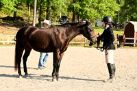 AJB_0275