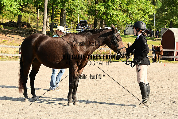 AJB_0275