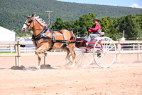 AJB_4876