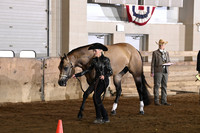 7. ABRA 3 Year Old Stallions