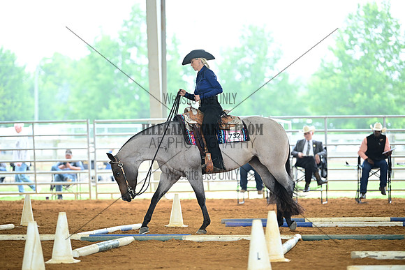 AJB_0636