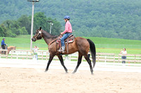 AJB_2698