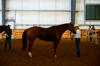 125. Non-Pro Conformation