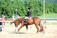 AJB_6575