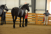 Jr. Youth Showmanship-8