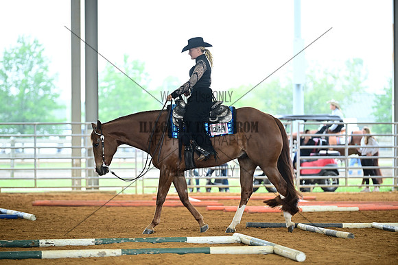 AJB_0533