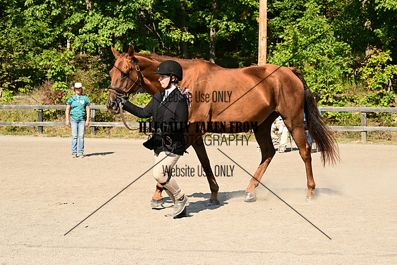 AJB_0401