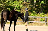 AJB_0420