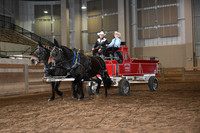 Youth Mule Team