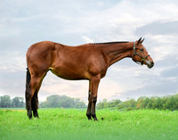 j.sheesley_9936-sideshot