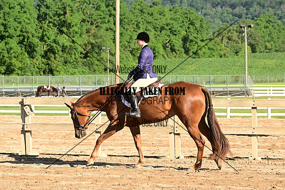 AJB_9965