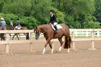 229. AQHA Youth Walk Trot Hunter Under Saddle