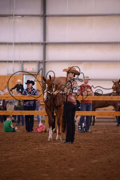 DSC_0266