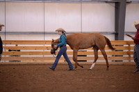 216. Level 1 Amateur Yearling Geldings
