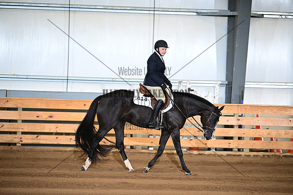 AJB_6403