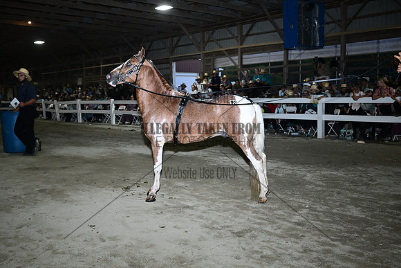 AJB_0940