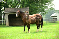 AJB_4773