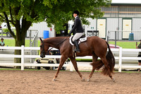 AJB_6458