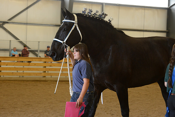 Jr. Youth Showmanship-49