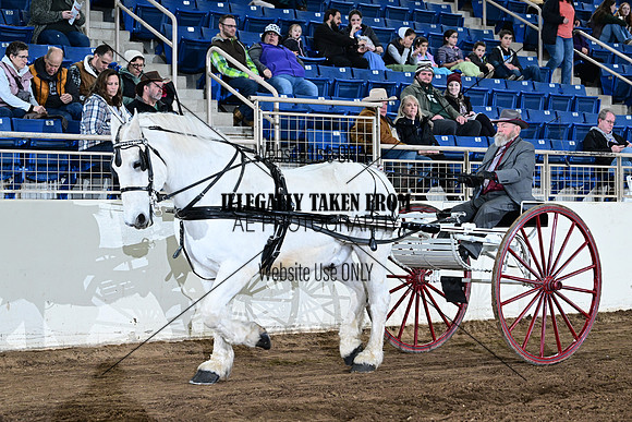 ASH_1294
